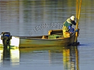 CANADA;PRINCE_EDWARD_ISLAND;QUEENS_COUNTY;STANLEY_BRIDGE;DORY;BOAT;WATER;OYSTER_